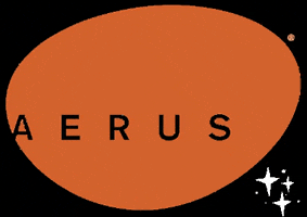 Aerushome aerus beyondbyaerus GIF