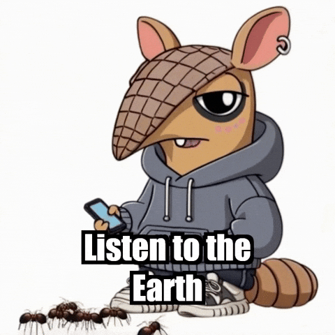 Wisdom Interconnectedness GIF by Chillo Dillo