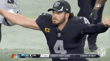 Regular Season Football GIF by NFL