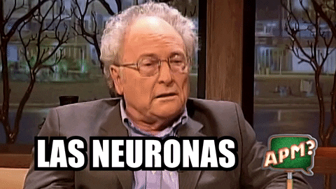 Fritas Punset GIF by Alguna Pregunta Més?