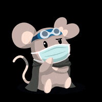 sqkiimouse mouse sqkii sqkiimouse huntfromhome GIF