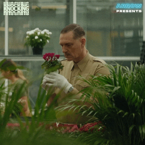 Movie Love GIF by Arrow Video