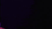Cant Touch This Minnesota Vikings GIF by NFL