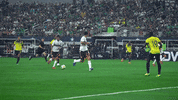 liga mx football GIF by MiSelecciónMX