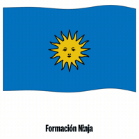 Flag Spain GIF by Formación Ninja