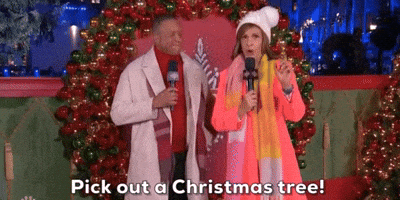 Pick Out A Christmas Tree