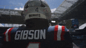 Football Nfl GIF by New England Patriots