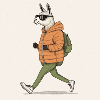 BrzzyWeather fun walking weather hiking GIF