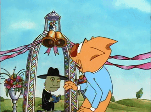 nicksplat GIF