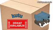 Kutu GIF