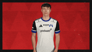 Hamburger Sv Applause GIF by Bundesliga