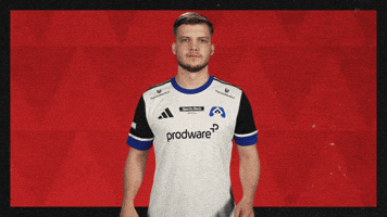 Hamburger Sv Football GIF by Bundesliga
