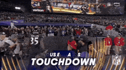 National Football League GIF by NFL