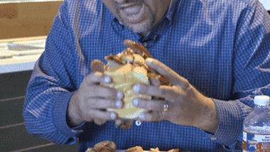 sandwich GIF