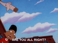 hey arnold nicksplat GIF