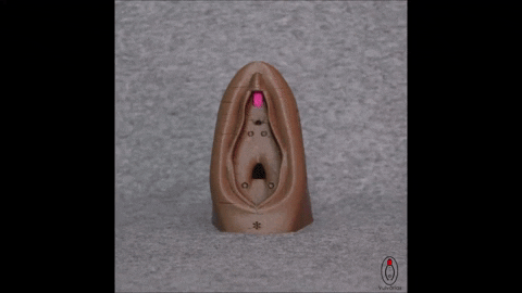 vulvarias giphygifmaker vagina vulva clitoris GIF