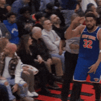 New York Kat GIF