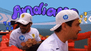 탈룰라 GIF