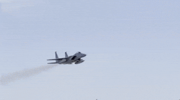 toastman1156 america military eagle airforce GIF