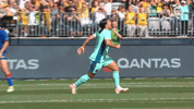 Sport Soccer GIF by Football Australia