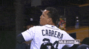detroit tigers GIF by MLB