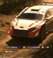 Splash Go GIF by FIA World Rally Championship