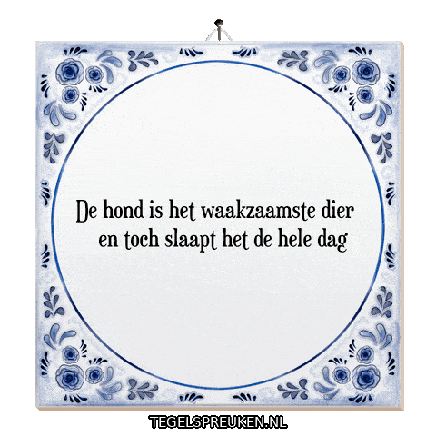 Nl Wijsheid Sticker by Tegelspreuken.nl