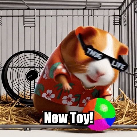 Excited Guinea Pig GIF by Guinea Gambino