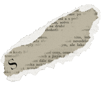 Reading Read Sticker