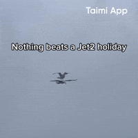 Seagulls GIF by Taimi