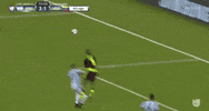 copa america centenario argentina GIF by Univision Deportes