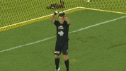 brisbaneroar happy football celebration excited GIF