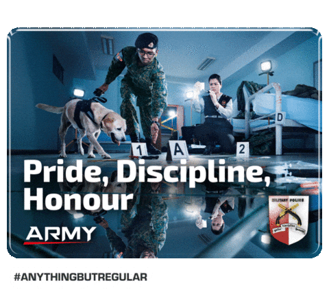 Pride Discipline Sticker by Our Singapore Army