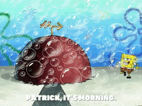 season 6 GIF by SpongeBob SquarePants