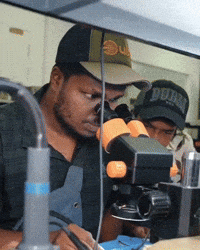 Microscope Thenga GIF