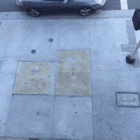 GIF by andymilonakis