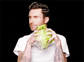 adam levine lettuce GIF by The Voice