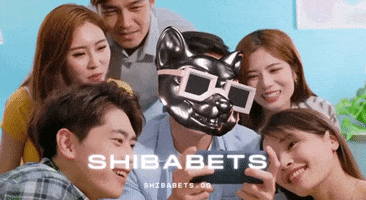 Shiba GIF by SHIBABETS.GG