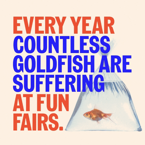 emmakirkham giphyupload GIF