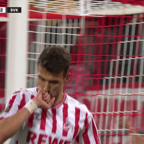 1 Fc Cologne Football GIF by 1. FC Köln