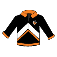 Princeton 2021 Sticker by Princeton University