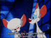 pondering pinky and the brain GIF