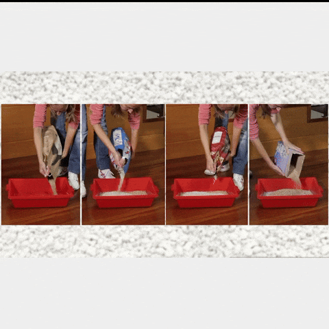 webindustex giphyupload GIF