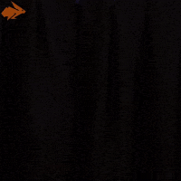 Good Morning Reaction GIF by Hyper RPG