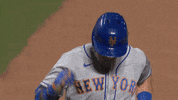 Celebrate Major League Baseball GIF by MLB
