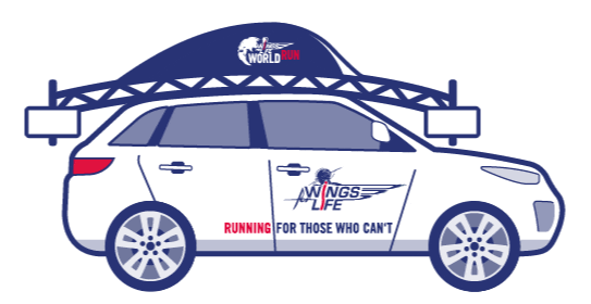 Wingsforlife Wflwr Sticker by Red Bull