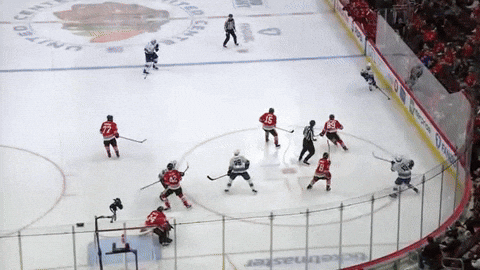 Reiny giphyupload GIF