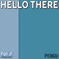 Oh Hello Penguin GIF by Pudgy Penguins