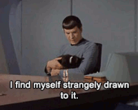 Star Trek Cat GIF