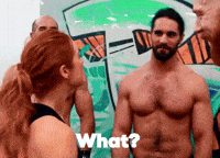 Seth Rollins What GIF